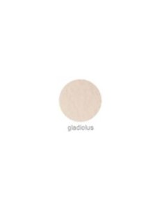 EZ FLOW PASTEL FLOWER GLADIOLIS 14 GR. R:58169