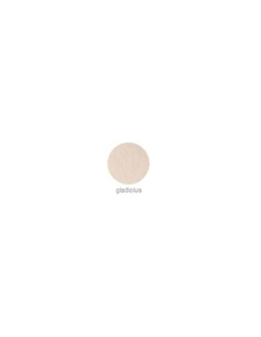 EZ FLOW PASTEL FLOWER GLADIOLIS 14 GR. R:58169